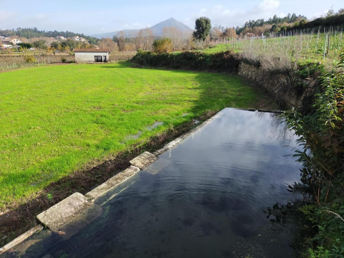 Quinta Da Lage Agroturismo E Enoturismo Celorico De Basto Zewnętrze zdjęcie