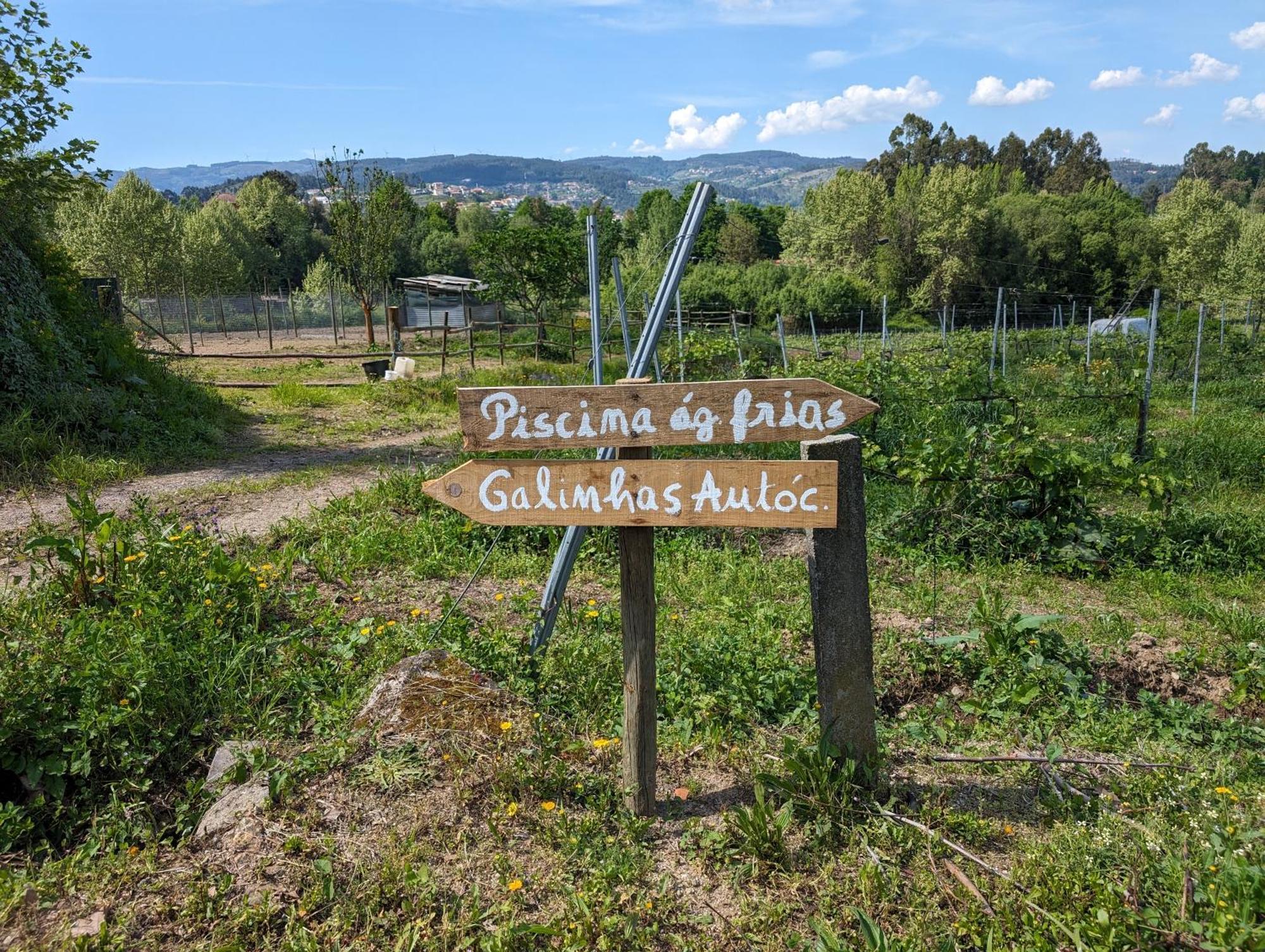 Quinta Da Lage Agroturismo E Enoturismo Celorico De Basto Zewnętrze zdjęcie